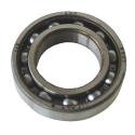 CUSCINETTO SKF 35X 62X14 6007-2Z 6007-2Z