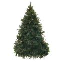 ALBERO NATALE AMAZZONIA 842 RAMI H180